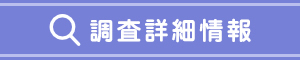 調査詳細情報
